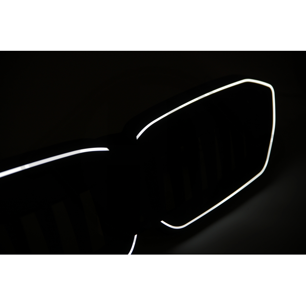 DESIGNGRILL MIT LED, G20, 19-22 SINGLE-STEG, 1219243