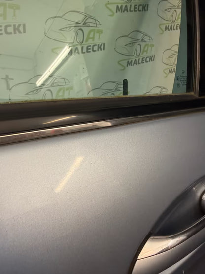 Türe Tür vorne links Mercedes B-Klasse W245 Farbe 391 05-11Bj