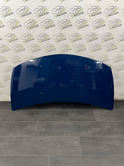 Motorhaube Haube Original Renault Clio III 3 Modell Farbe OV460