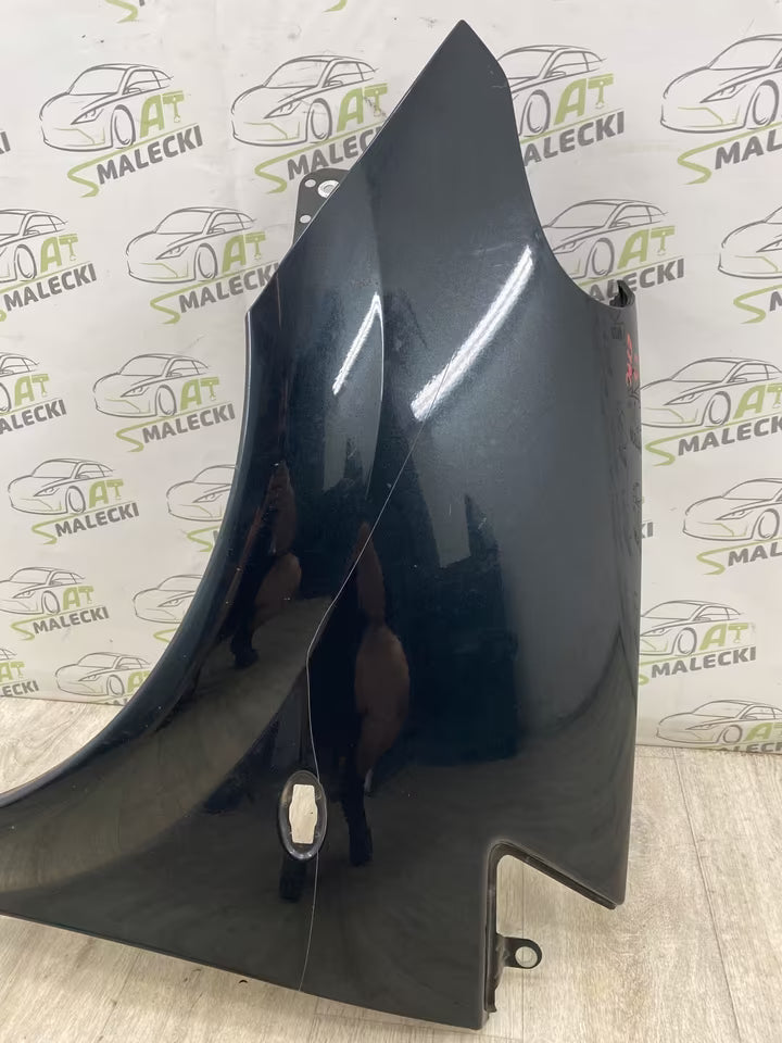 Kotflügel Links Citroën C3 Pluriel Cabrio Modell Farbe EYPC