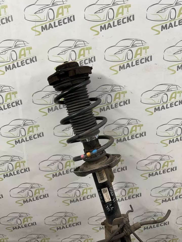 Achsschenkel Radnabe Federbein Links 1,6 Tdi CAY Vw Golf VI 6 5K