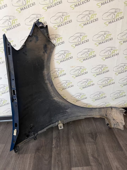 Kotflügel vorne links Renault Clio III 3 Farbe 0V460