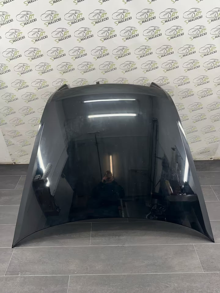 Motorhaube Haube Vw Phaeton 3D Modell 02-10Bj L041