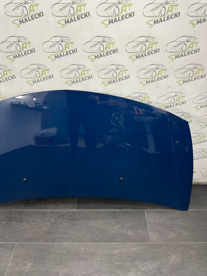 Motorhaube Haube Original Renault Clio III 3 Modell Farbe OV460