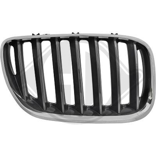 51137113734 GRILL RE.          BMW X5, für 03. Jun 1290042