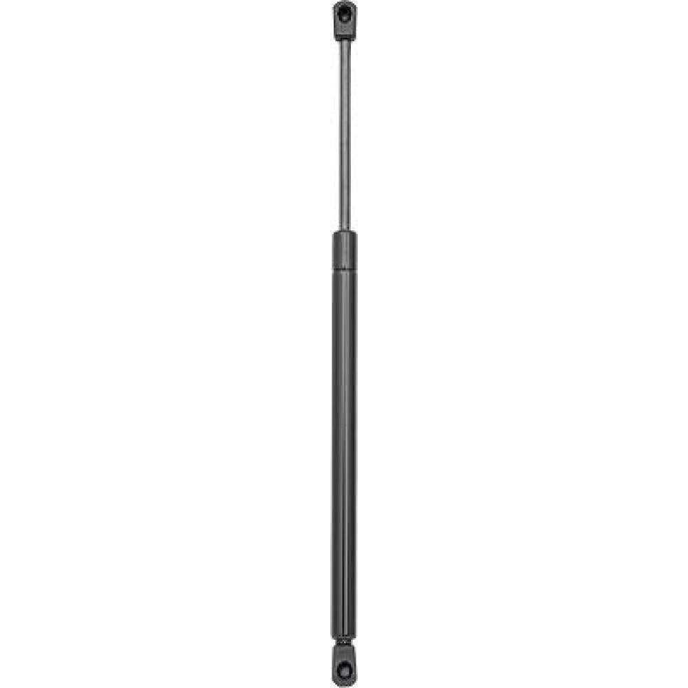 1070024 GASFEDER HECKKL.    FOCUS, 98-04 9141501