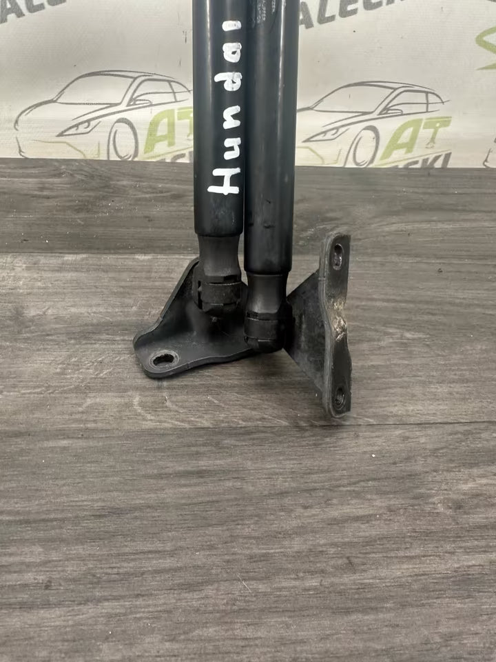 81770-2Y000 Heckklappendämpfer Gasfeder Hyundai ix35